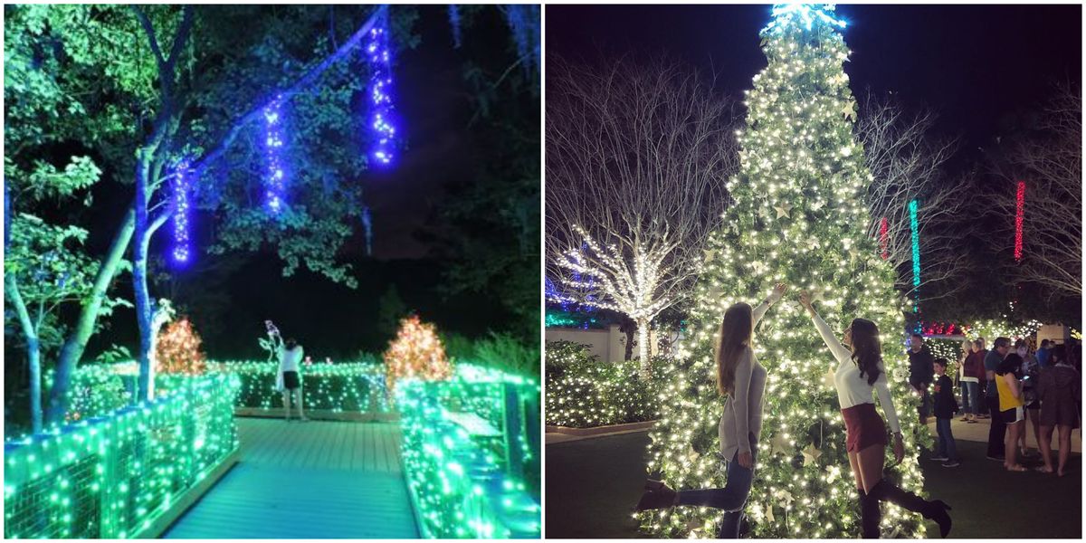Largo Botanical Gardens Christmas Lights 2025