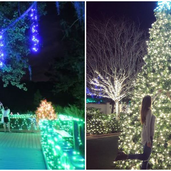 Largo Botanical Gardens Christmas Lights 2022 Free Places To See Christmas Lights In Florida Include This Largo Botanical Garden - Narcity