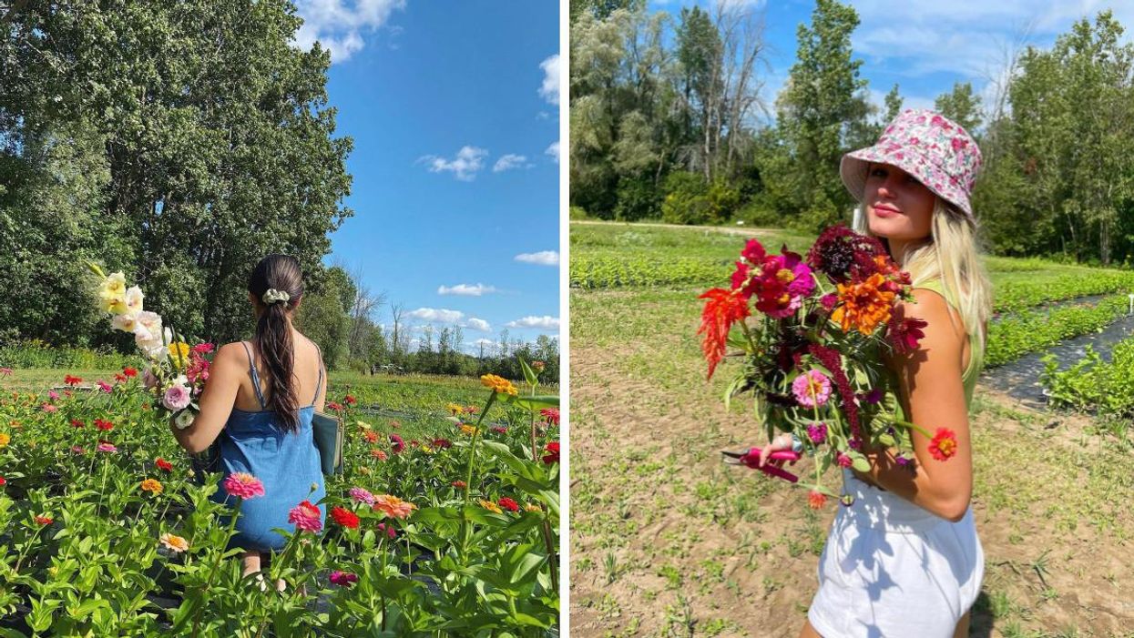 Fresh Market Farms in Millgrove, Ontario.