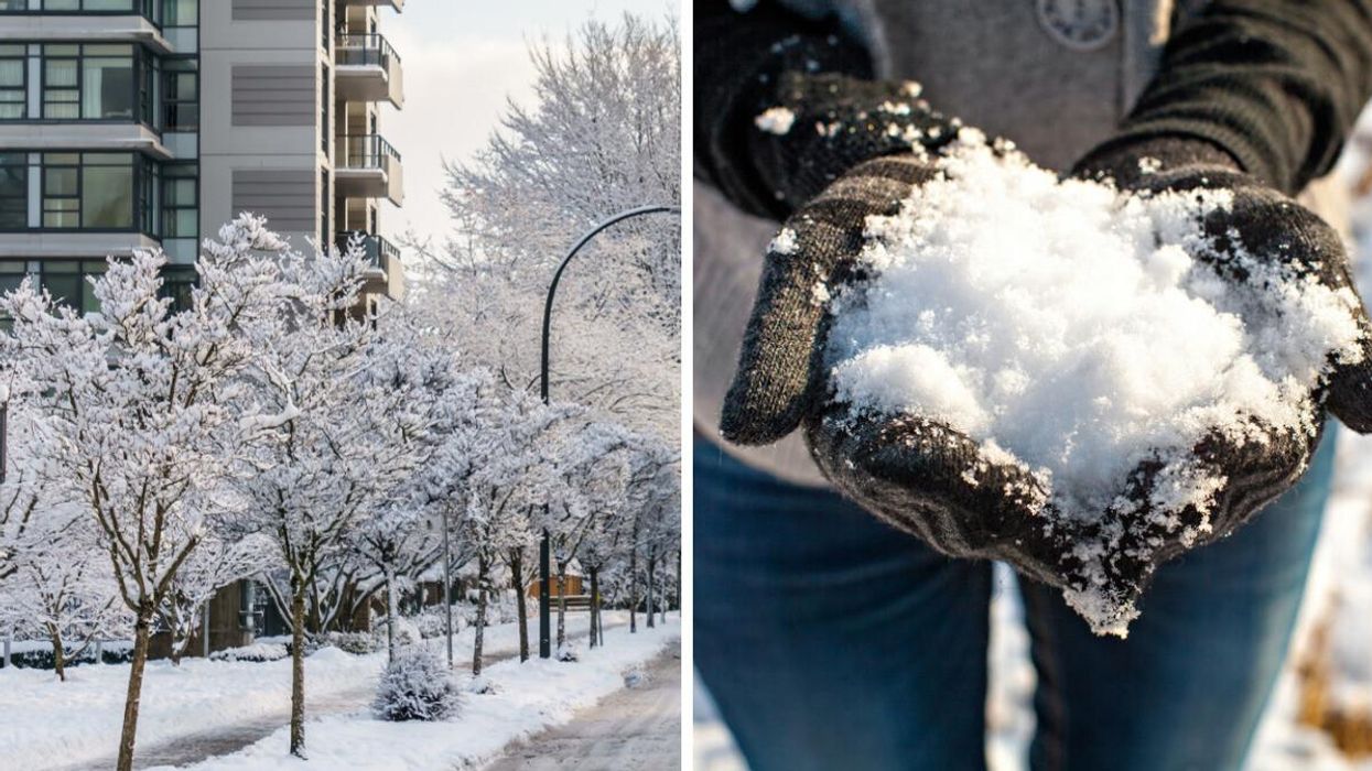 Frozen streets of Vancouver. Right: Cupped hands holding snow.
