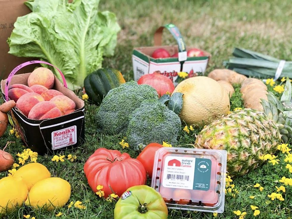 Fruits and vegetables rescued by Odd Bunch.