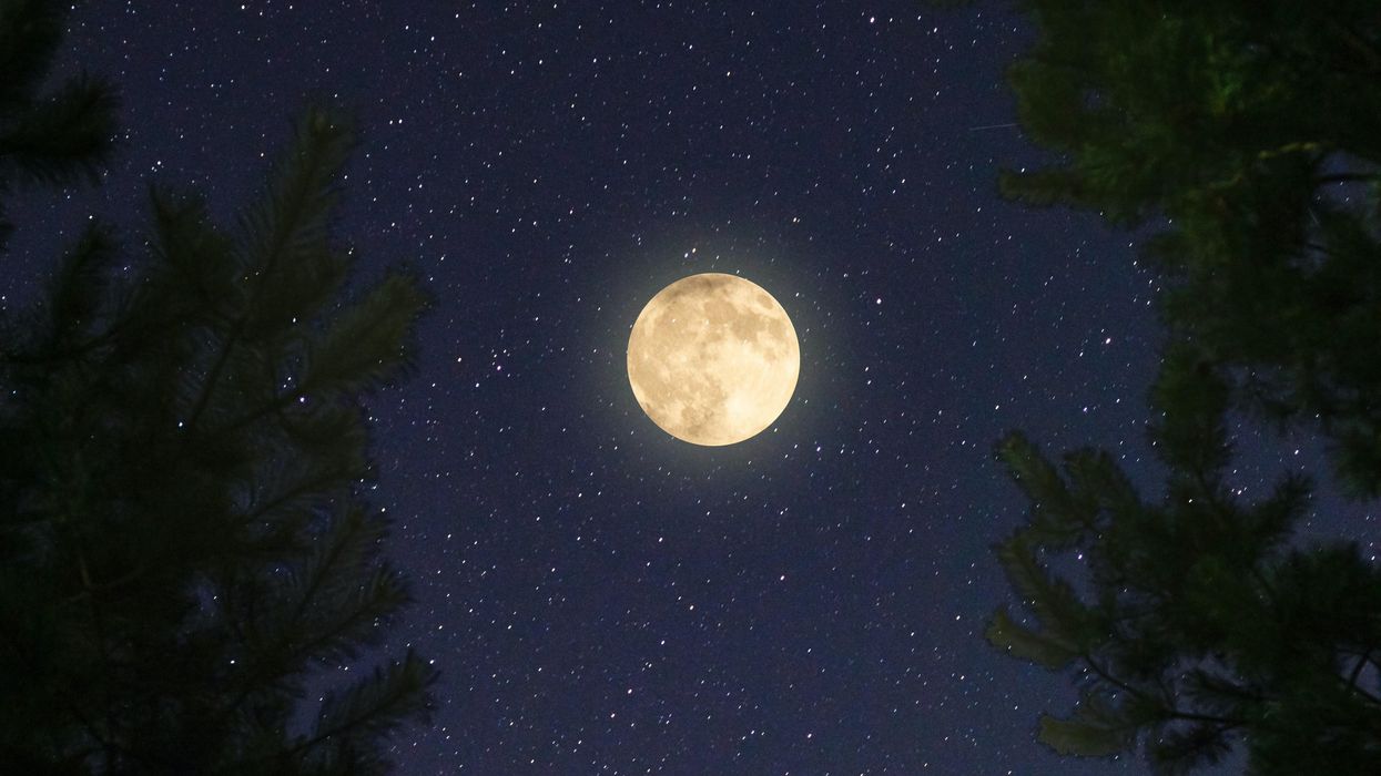 Full moon in a star-filled sky.