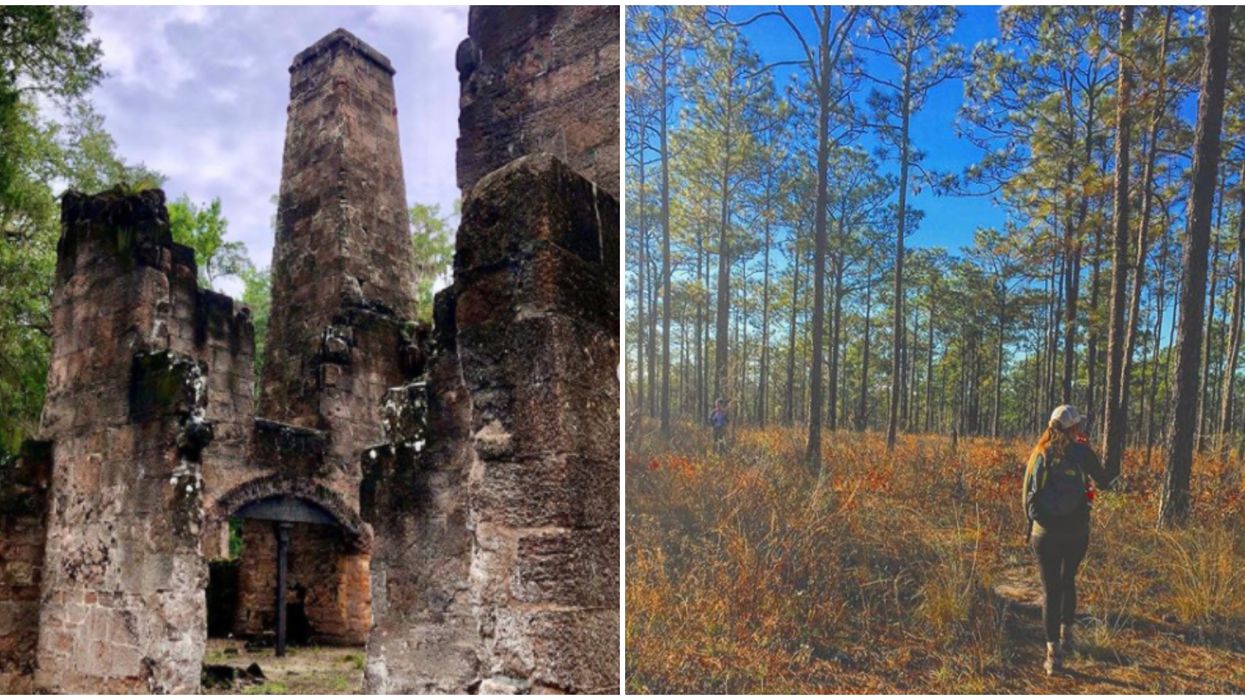 Fun Fall Activities In Florida To Ring In The Season With