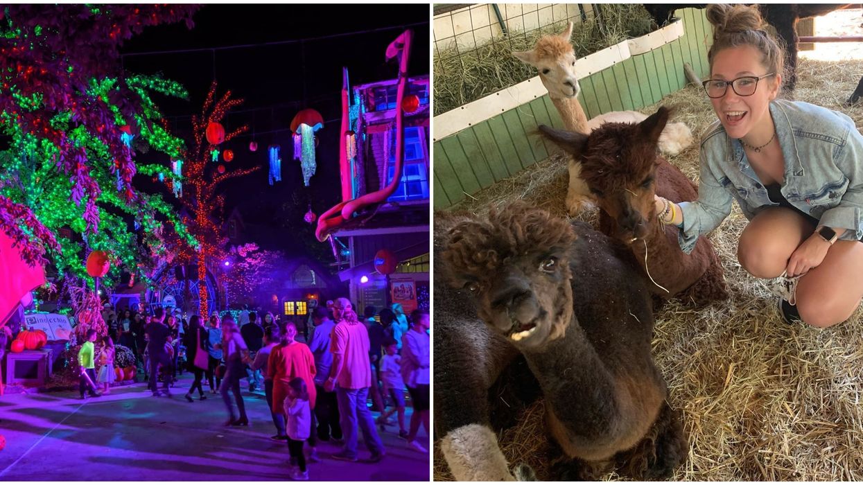 Fun Things To Do In Atlanta This Weekend Include These 6 Experiences