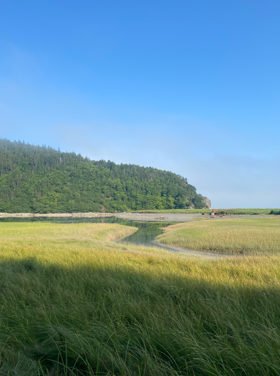 Fundy National Park.