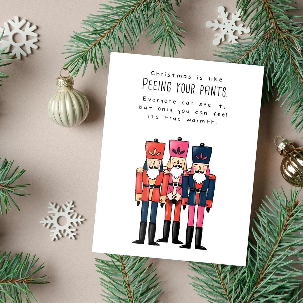 Funny Bulk Holiday Box Set of 20 cards from Amazon Canada.