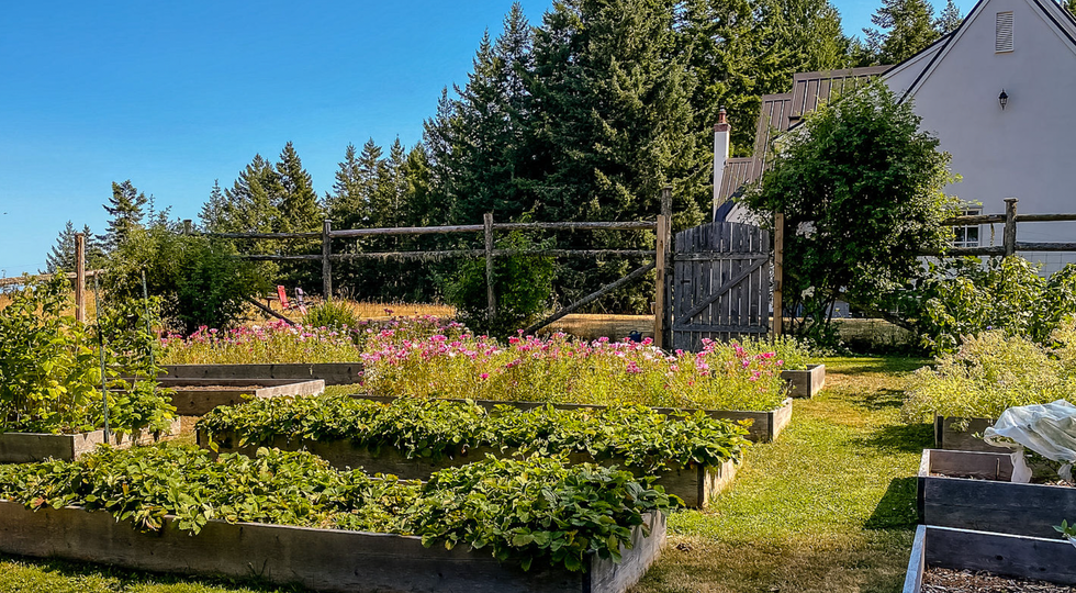 Garden in the backyard of the home.