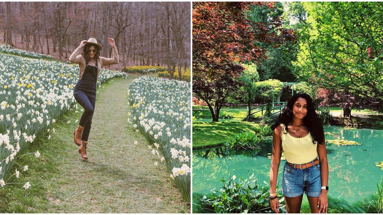 Gardens Throughout Georgia In Bloom That You Can Visit Right Now