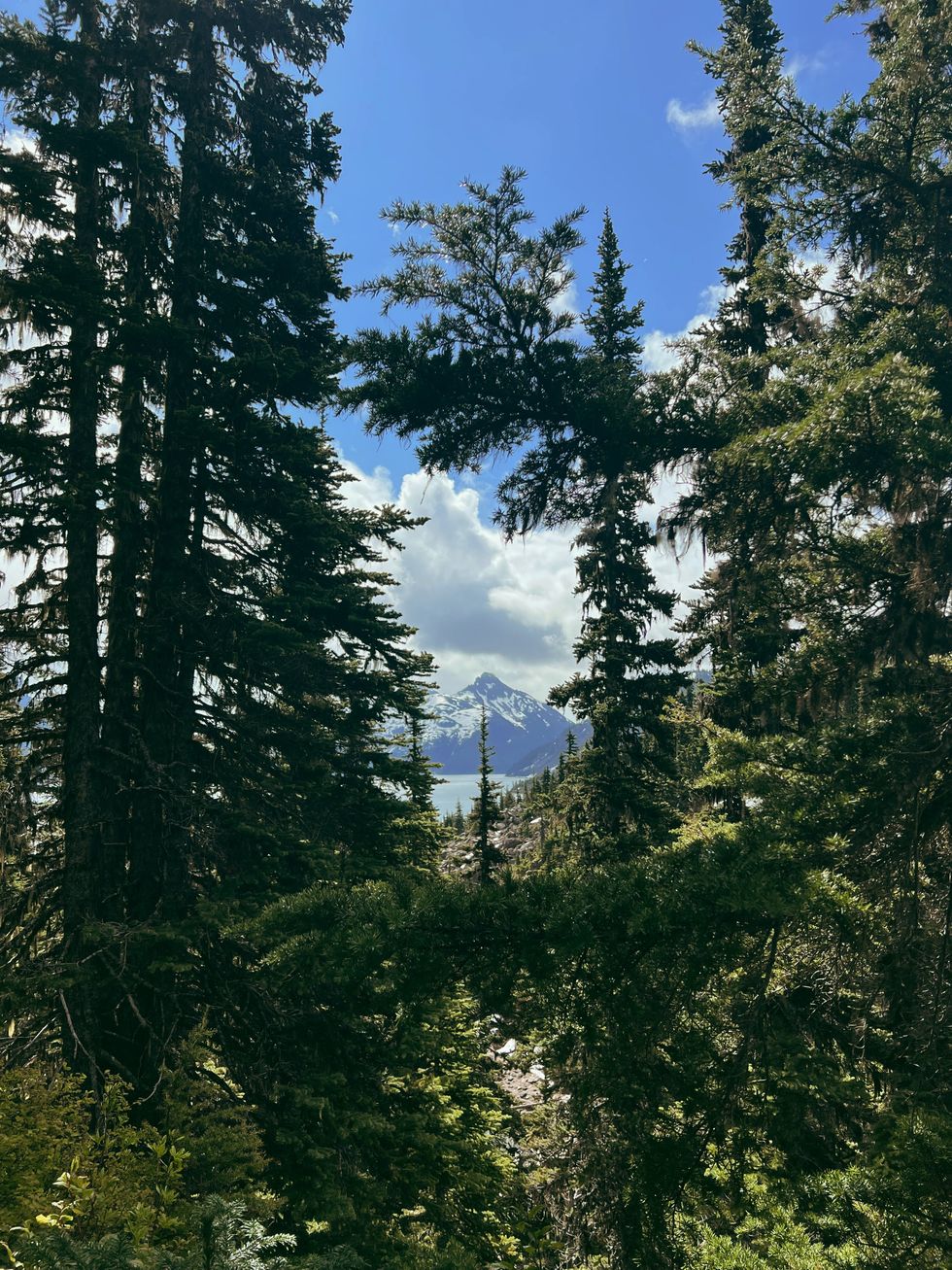 Garibaldi Lake hike.