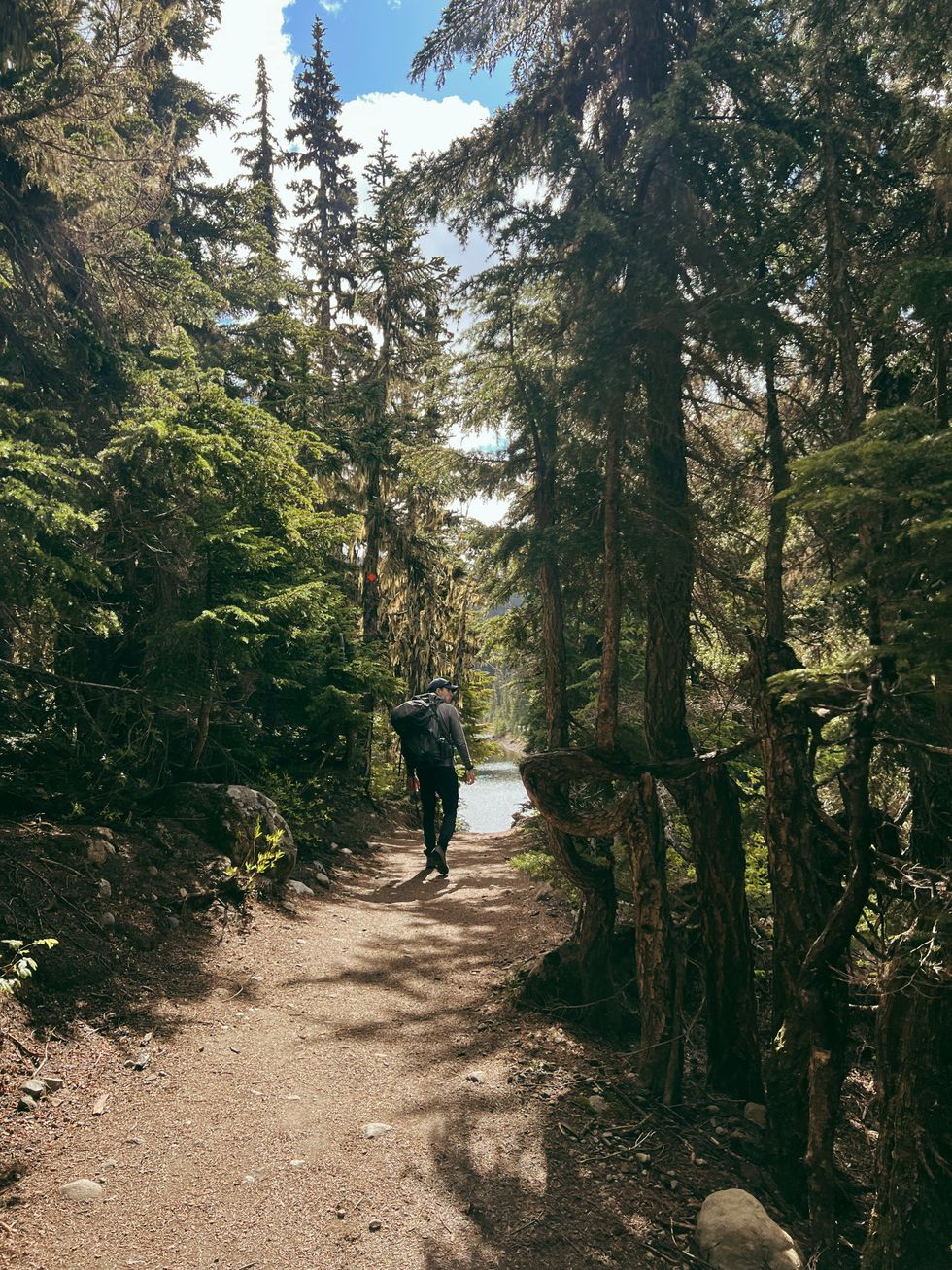 Garibaldi Lake hiking trail.