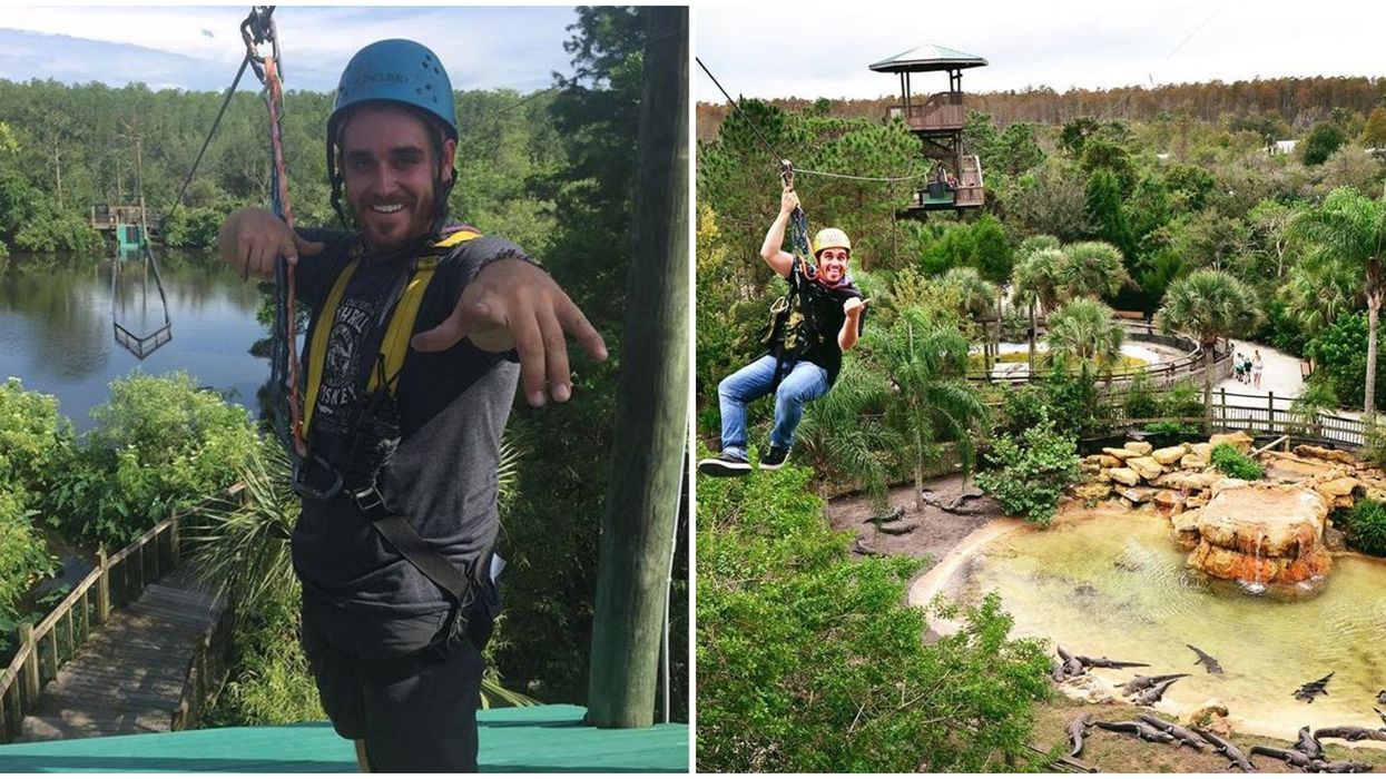 Gatorland Orlando Screamin Gator Zipline On Sale Through September