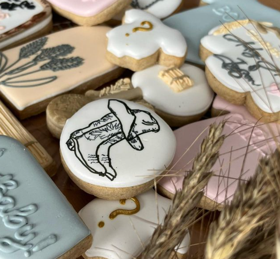 Gender reveal Audreyann Blais.