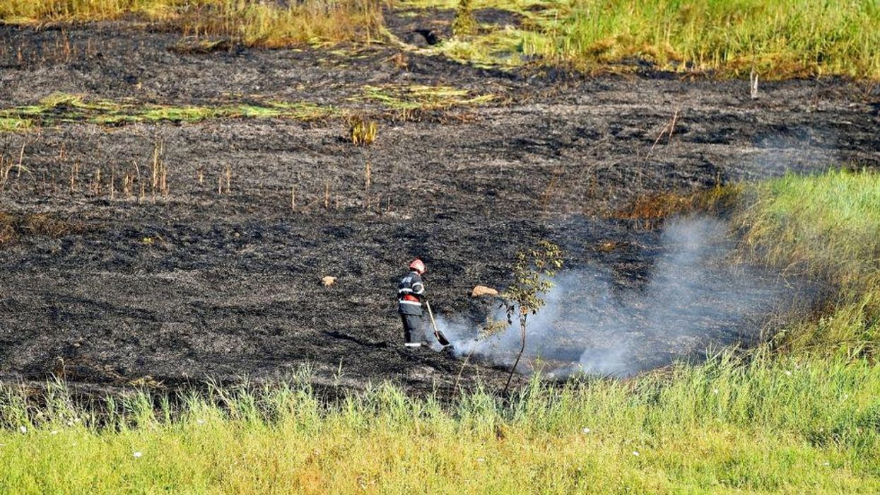 Gender Reveal Party Starts Massive Wildfire In Alberta