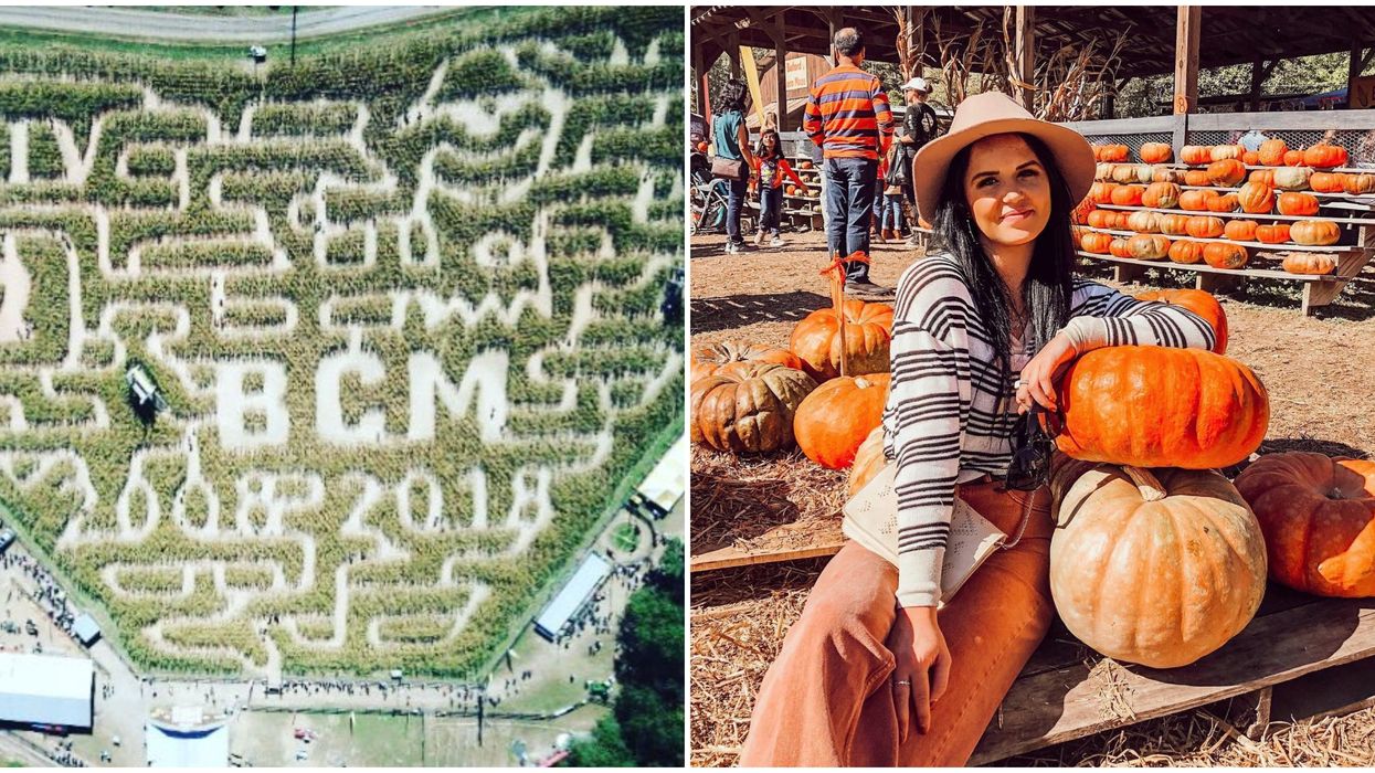Georgia Corn Maze At Buford Farm Makes For The Perfect Fall Date Adventure
