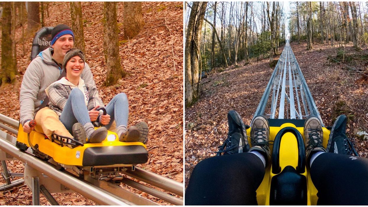 Georgia's First Alpine Coaster Has Reopened And Is Ready For Guests