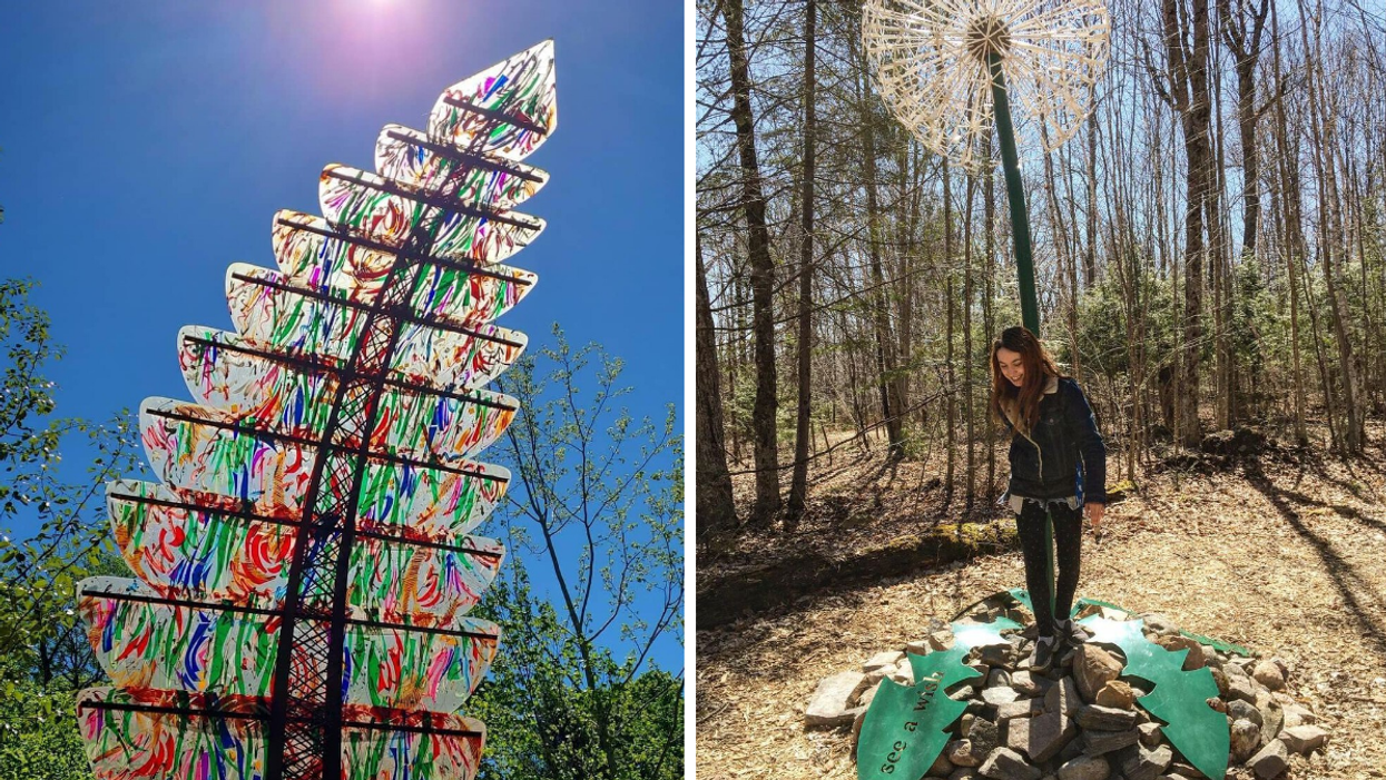 Giant rainbow leaf sculpture along a walking trail. Right: Massive dandelion sculpture in Haliburton.