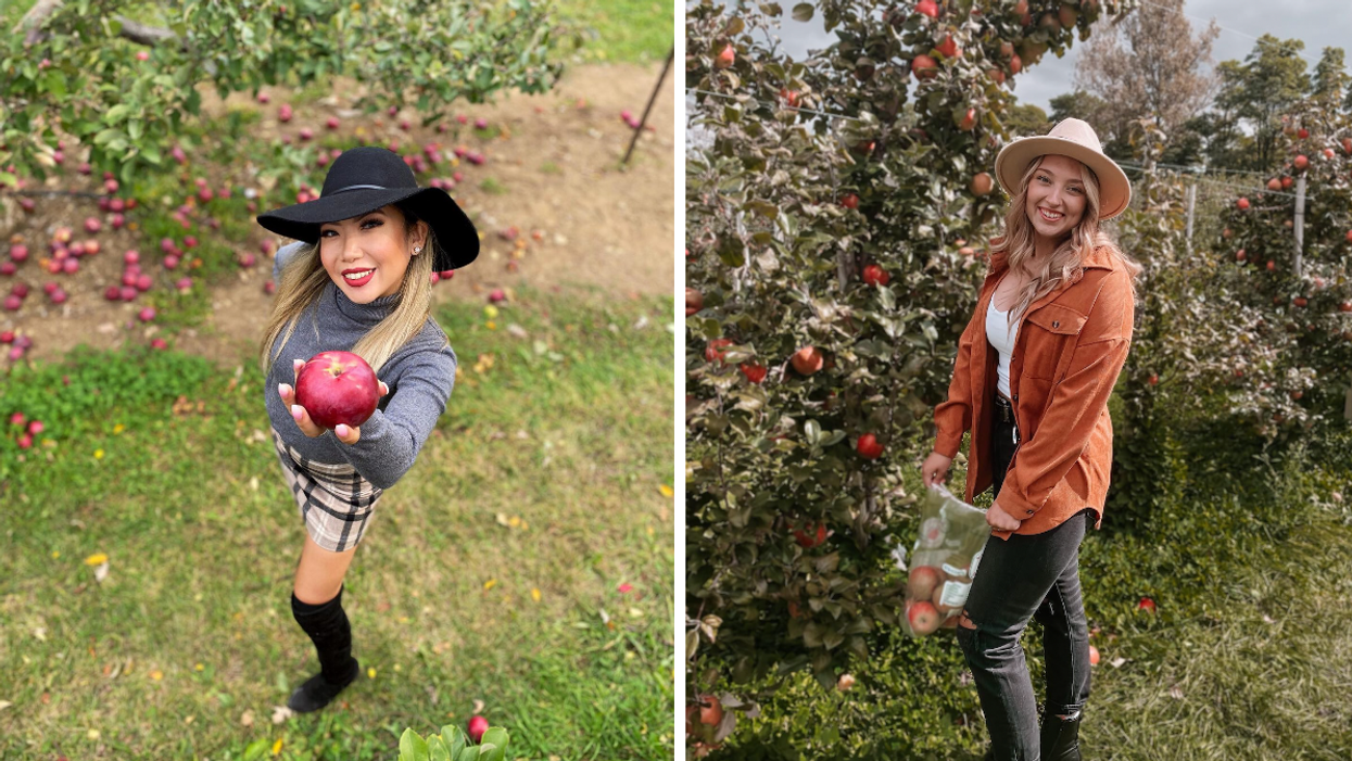 Girl holding freshly picked apples at an Ontario orchard.