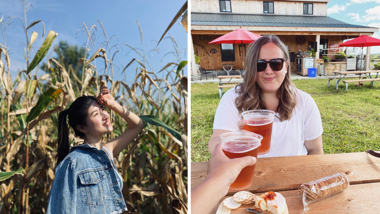 Girl in a corn maze. Right: A cheers of hard cider on a farm winery patio.