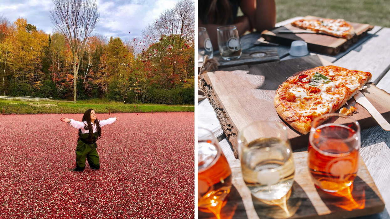 Girl in a cranberry marsh during harvest season. Right: Flights of hard cider and pizza on a patio.