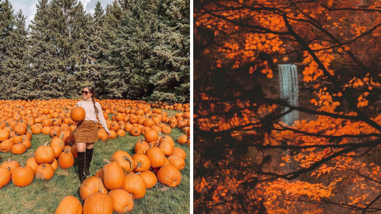 Girl in a pumpkin patch. Right: Tew Falls surrounded by fall leaves.
