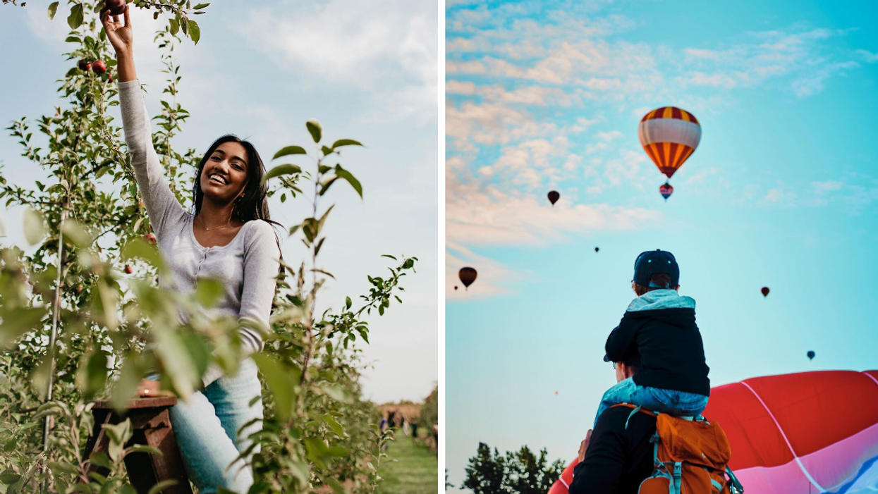 Girl picking apples in an orchard. Right: Father and son watching hot air balloons.
