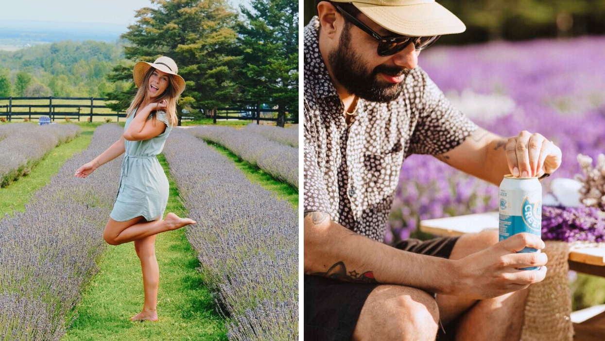 Girl posing in blooming lavender fields. Right: Cracking a lavender beer at the flower farm.