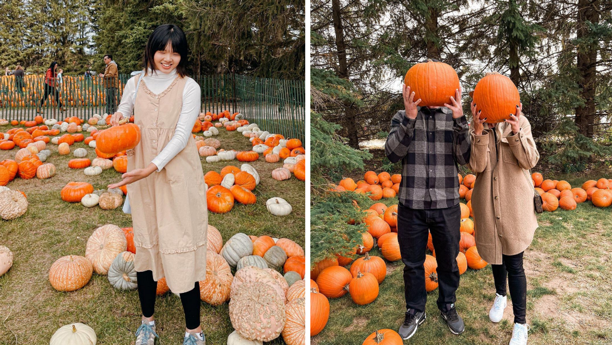 Girl surrounded by specialty pumpkins. Right: Couple holding pumpkins.