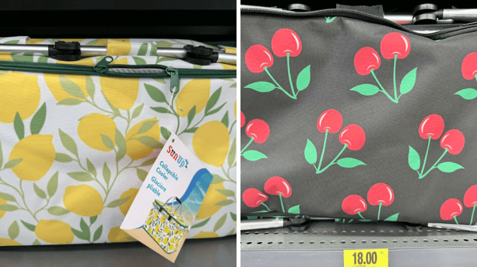 Glaci\u00e8res pliantes \u00e0 motif de citron ou de cerises en vente au Tigre G\u00e9ant pour 18 $.