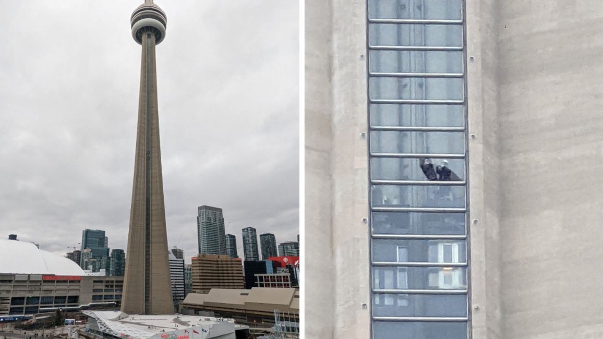 Glass Fell From The CN Tower Yesterday Due To Some Powerful Winds & Honestly Yikes (VIDEO)