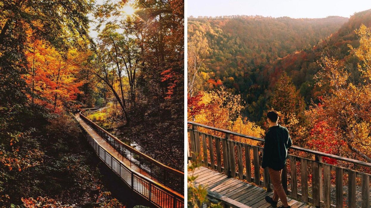 Glen Stewart Park. Right: Devil's Glen Provincial Park.