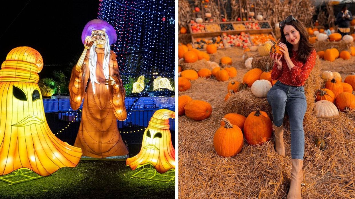 Glowing Halloween sculptures. Right: A person at a pumpkin patch.