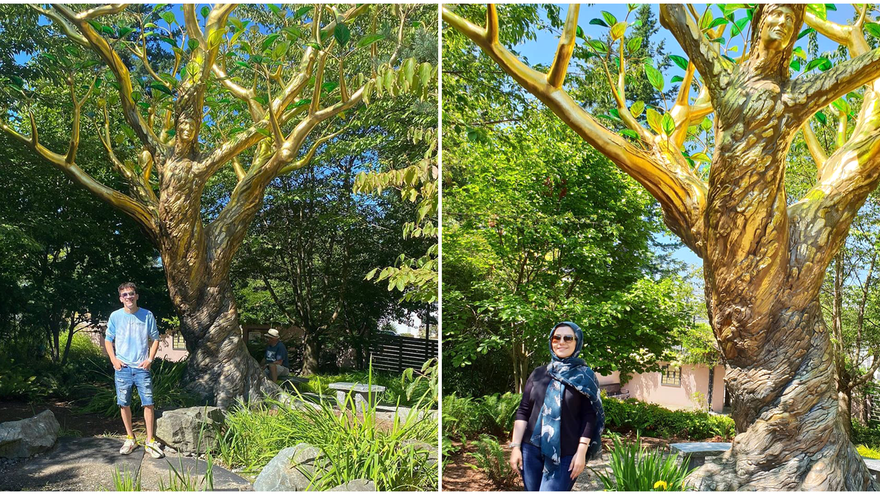 Gold Tree Near Vancouver Is Straight From 'Game Of Thrones'