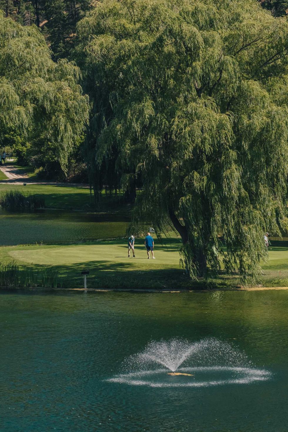 Golfers on the putting green next to a lake with a fountain.