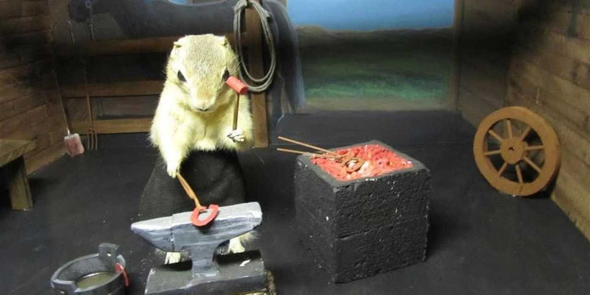 Alberta’s gopher museum closed until further notice as owners find new facility Alberta’s gopher museum closed until further notice as owners find new facility