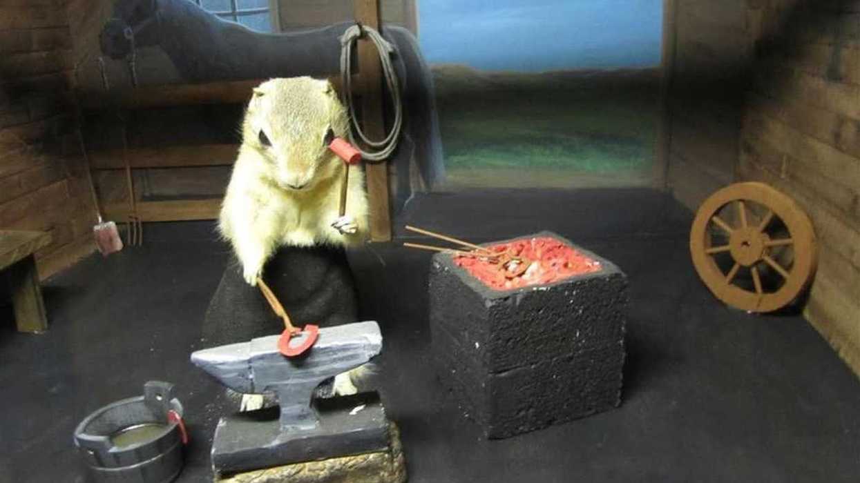 Gopher museum shut down until further notice