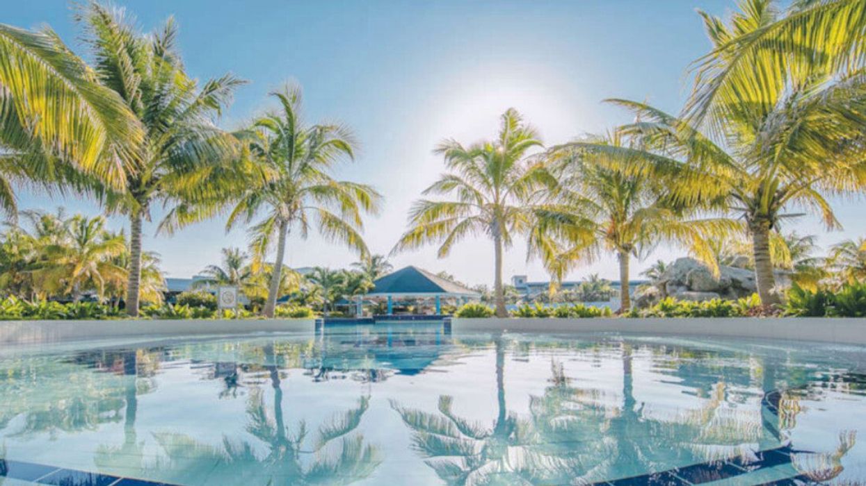 Grande piscine entourée de palmiers.