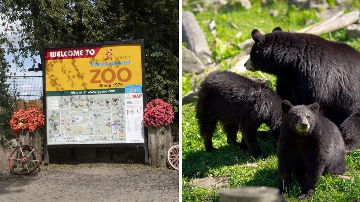 Great Vancouver Zoo sign. Black Bears.