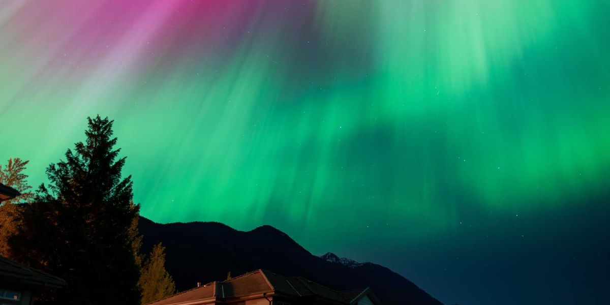 You could see the northern lights and the Perseid meteor shower across Canada tonight You could see the northern lights and the Perseid meteor shower across Canada tonight