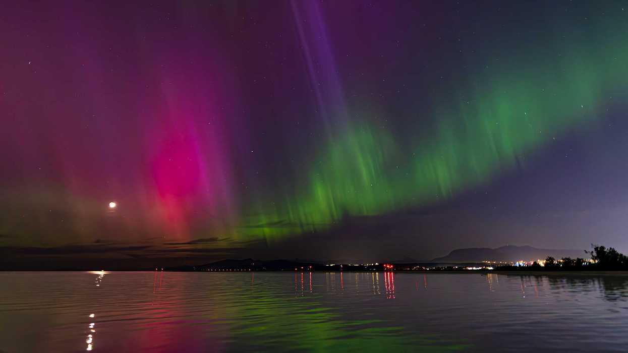 green and pink northern lights in night sky over richmond bc