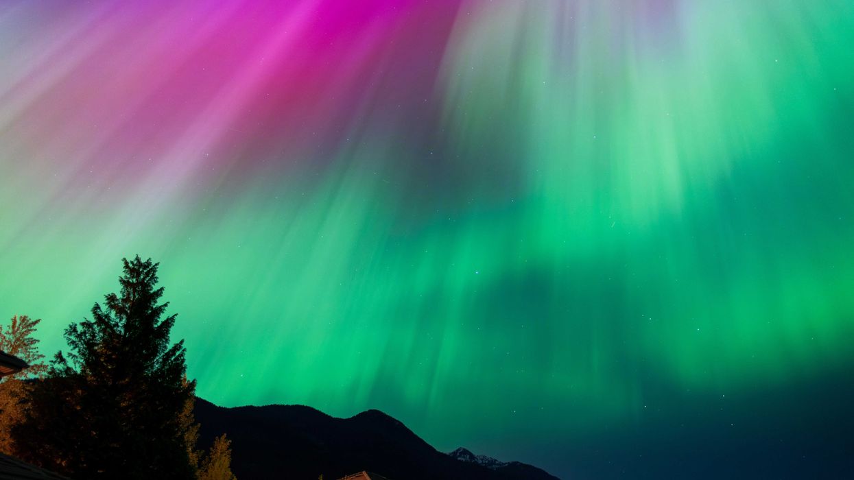green and pink northern lights in the sky in bc