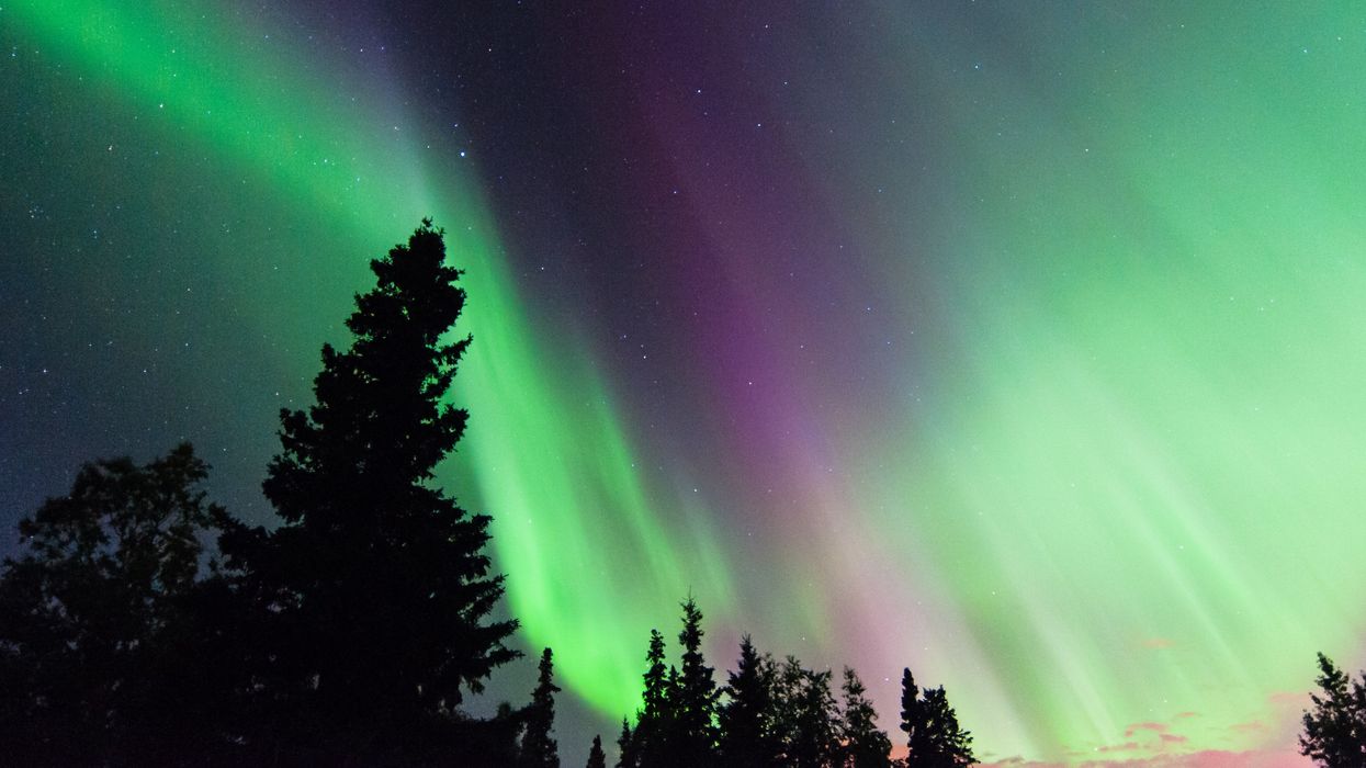 Green and purple auroras in a dark night sky.