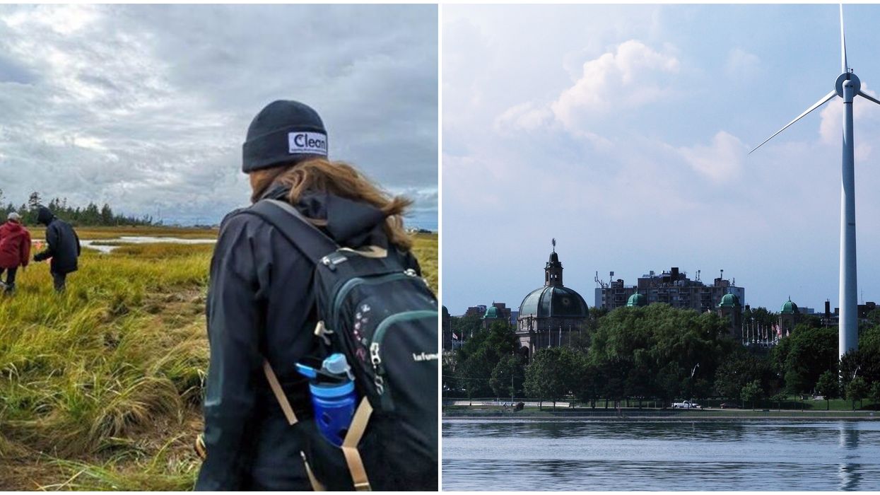 Green Internships In Canada Are Now Available & You Can Make Some Money