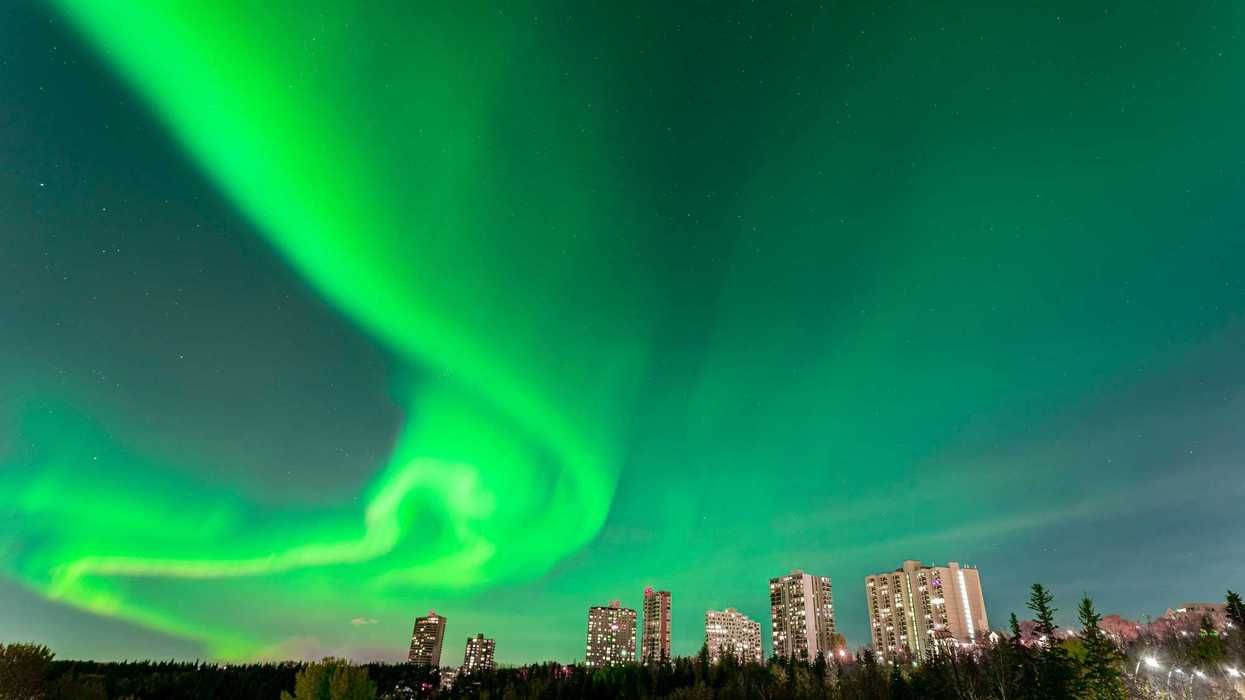 green northern lights in the sky above tall buildings in edmonton alberta