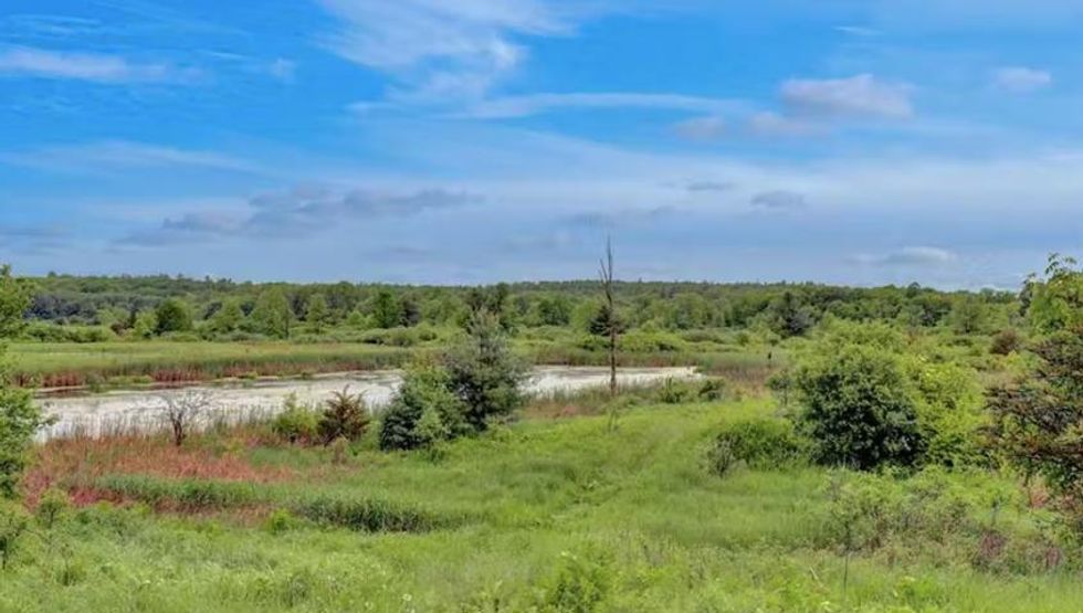 Green scenery around the house.