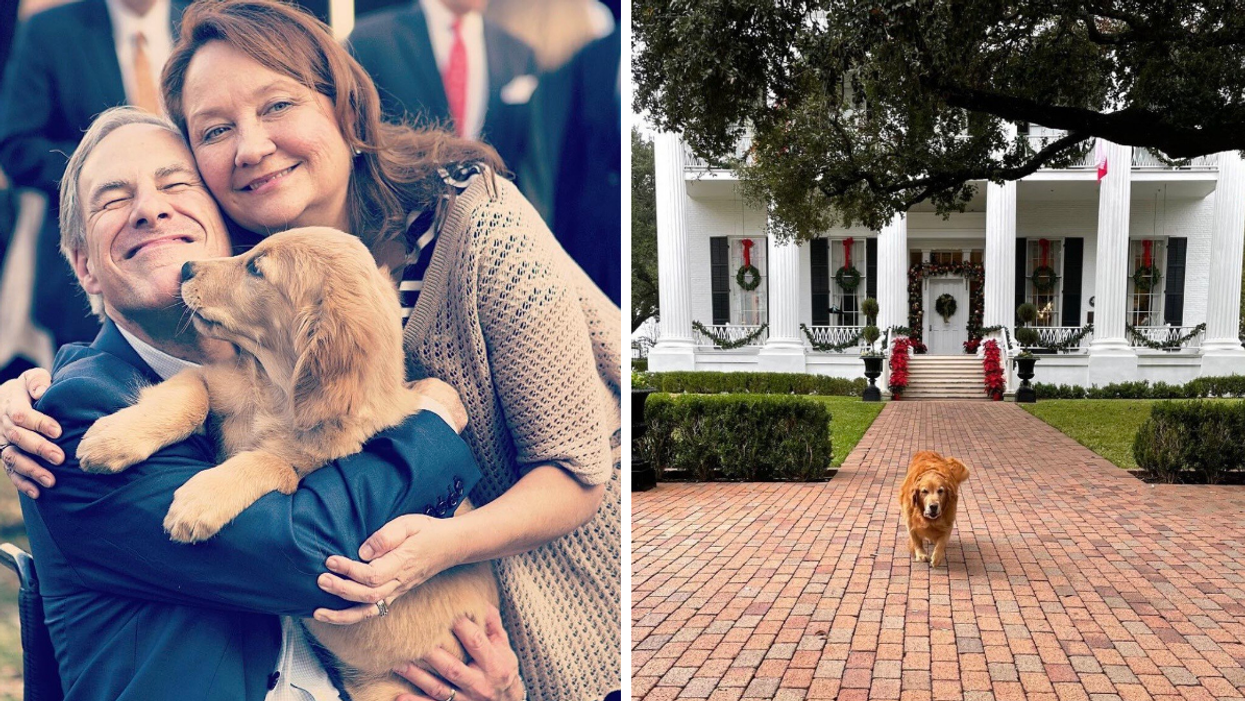 Greg and Cecilia Abbott with their dog, Pancake. Right: Pancake Abbott outside the governor's mansion.