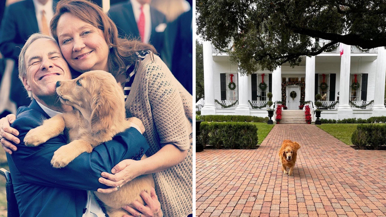 Greg and Cecilia Abbott with their dog, Pancake. Right: Pancake Abbott outside the governor's mansion.