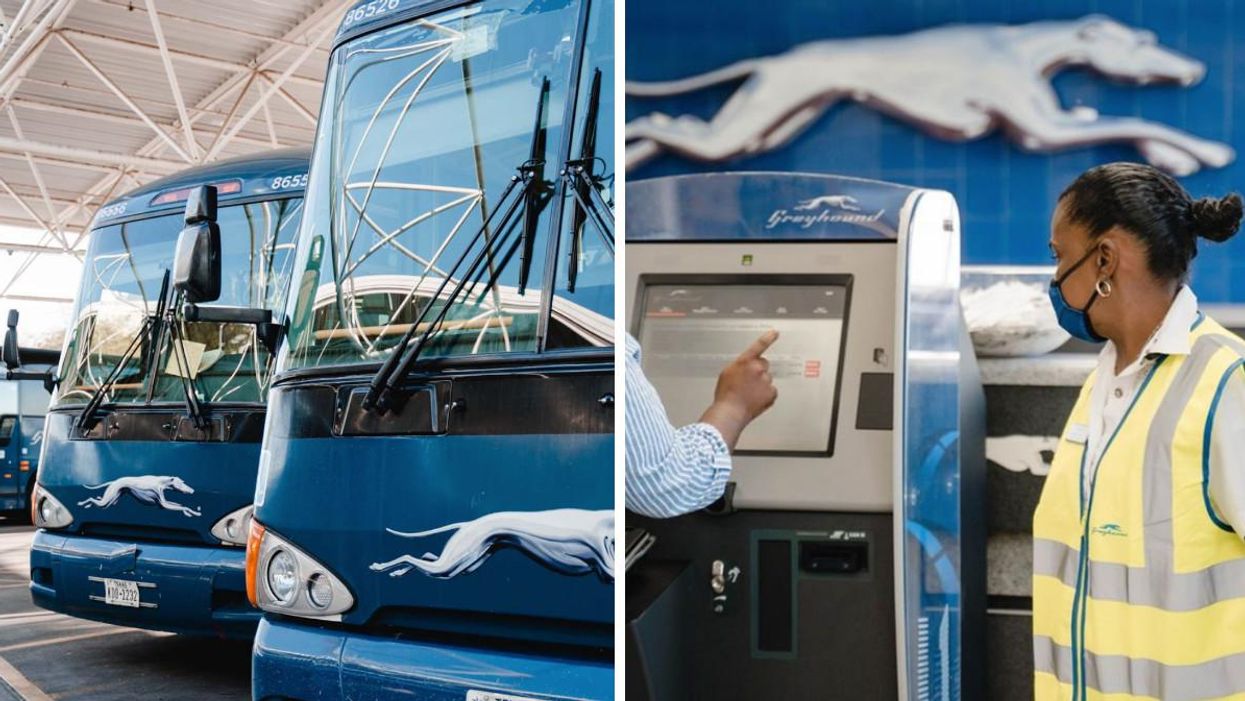 Greyhound Buses Between Canada & The US Are Back & Here’s Where You Can Cross The Border