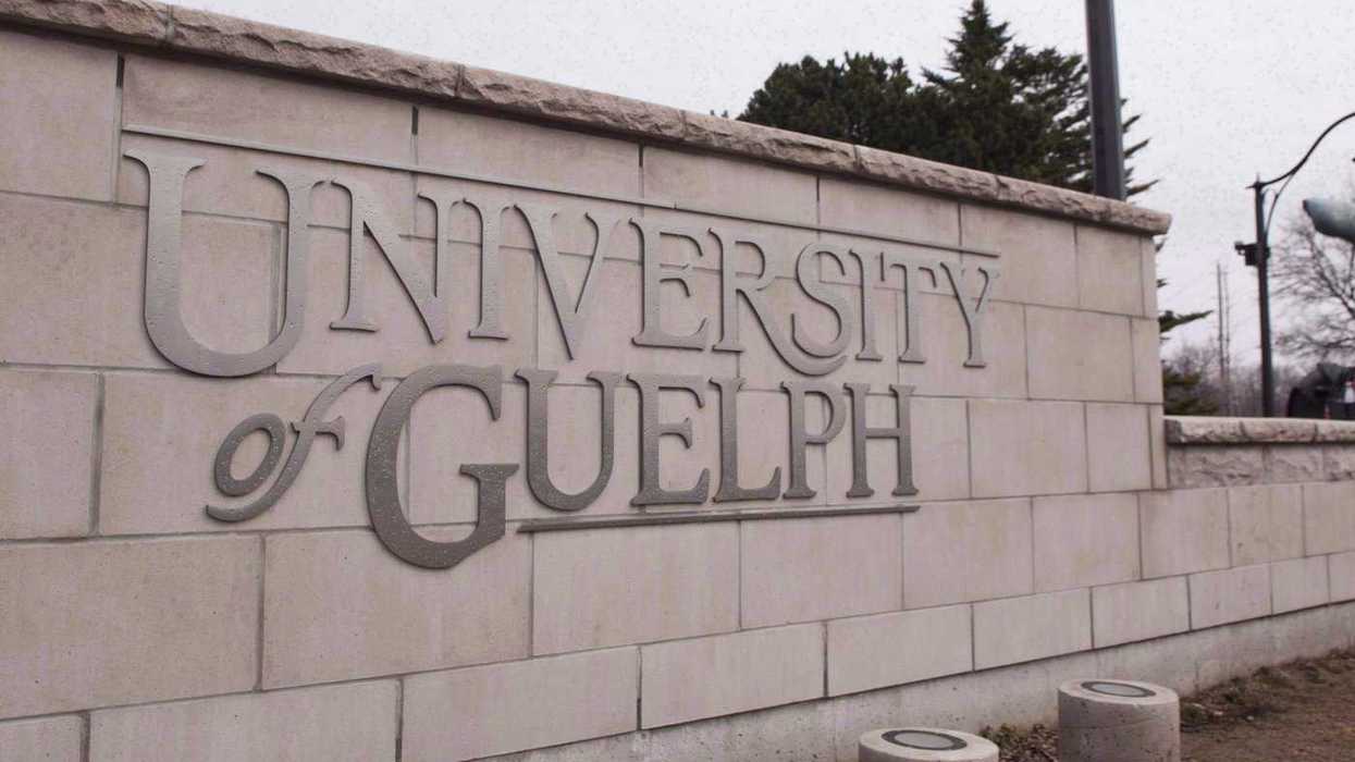 Guelph cops seek to ID people in homecoming videos