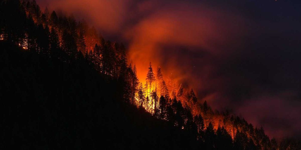 B.C. firefighters face critical days as dry fuels and winds increase fire risks B.C. firefighters face critical days as dry fuels and winds increase fire risks