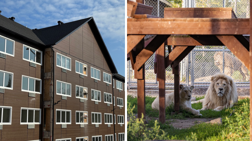 H\u00f4tel de la cit\u00e9 perdue.